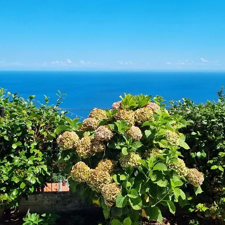 Crystalias * Mourésion