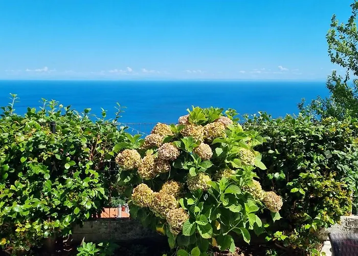 Crystalias * Mourésion